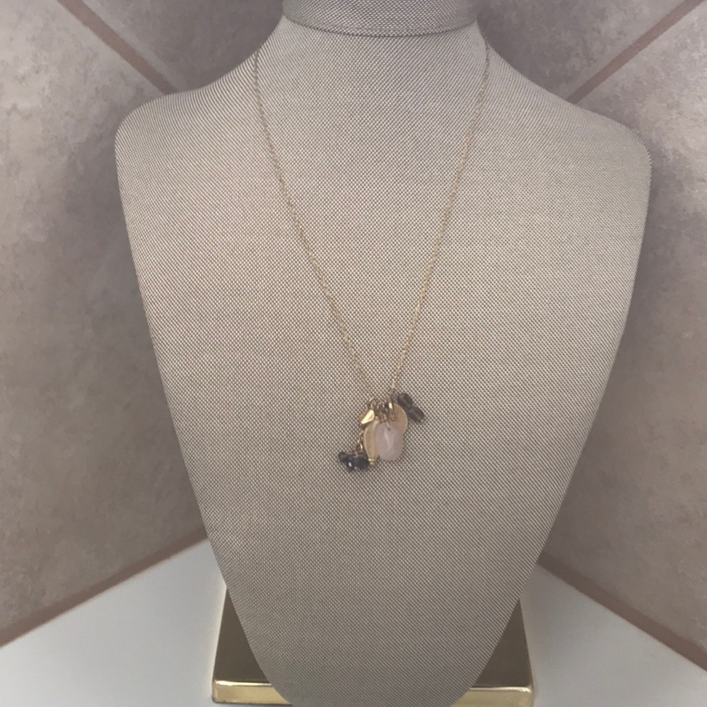 Banana Republic Necklace